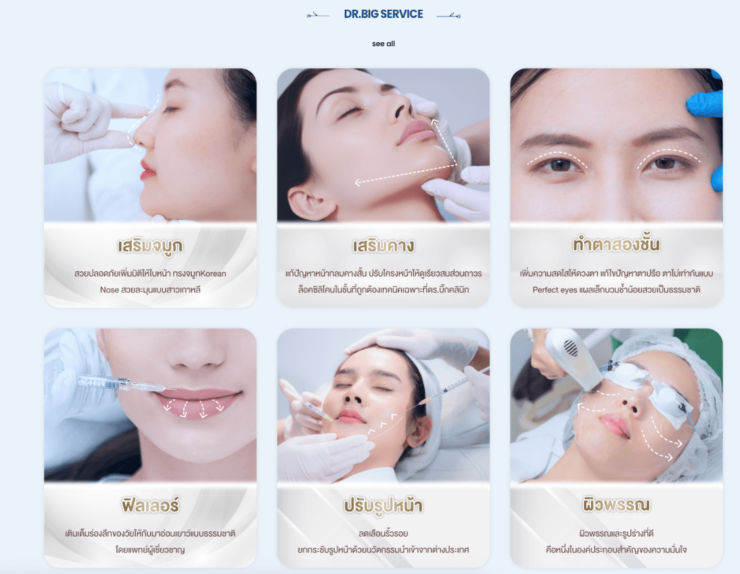 DR.Big Website — 1