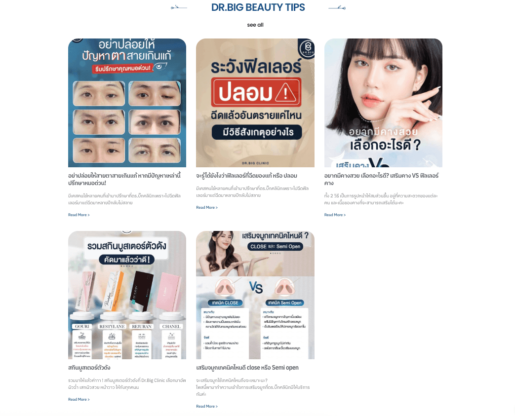 DR.Big Website — 3